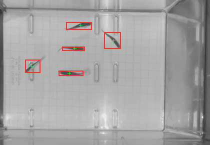 Tank at 5 seconds with 5 detected blobs outlined in red