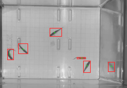 Tank at 10 seconds with 6 detected blobs outlined in red