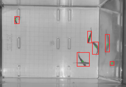 Tank at 20 seconds with 6 detected blobs outlined in red