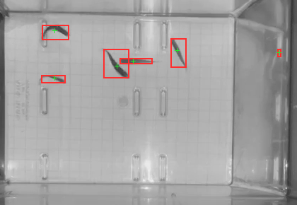 Tank at 30 seconds with 6 detected blobs outlined in red