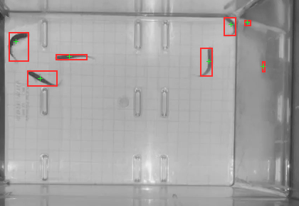 Tank at 70 seconds with 7 detected blobs outlined in red