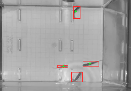 Tank at 90 seconds with 4 detected blobs outlined in red