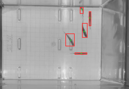 Tank at 110 seconds with 5 detected blobs outlined in red